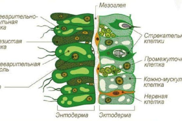 Кракен официальный сайт онион