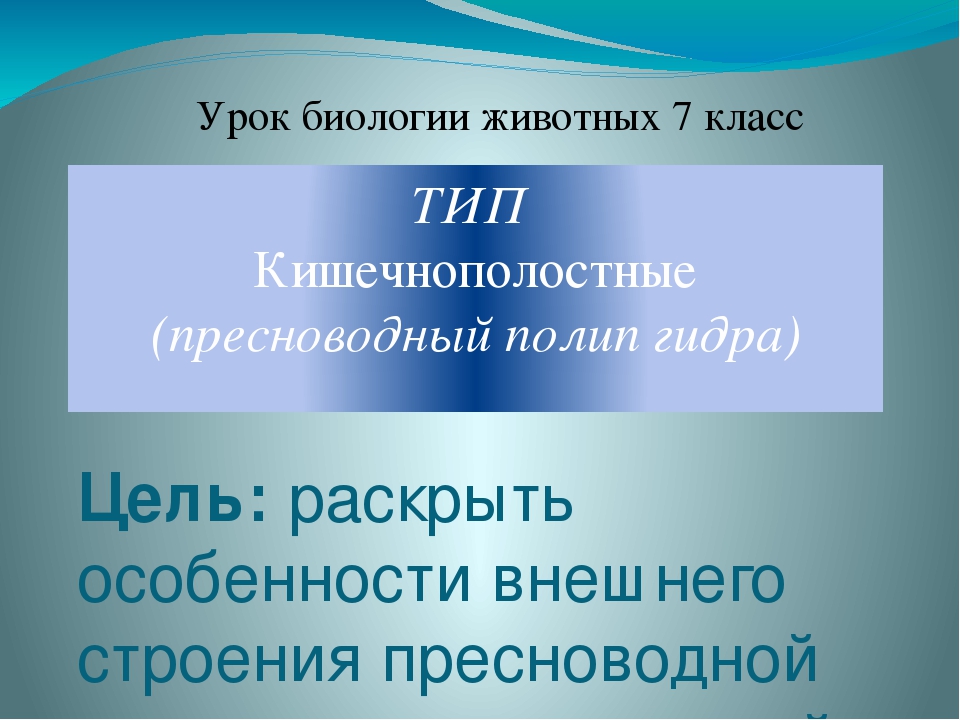 Кракен сайт 2krnk