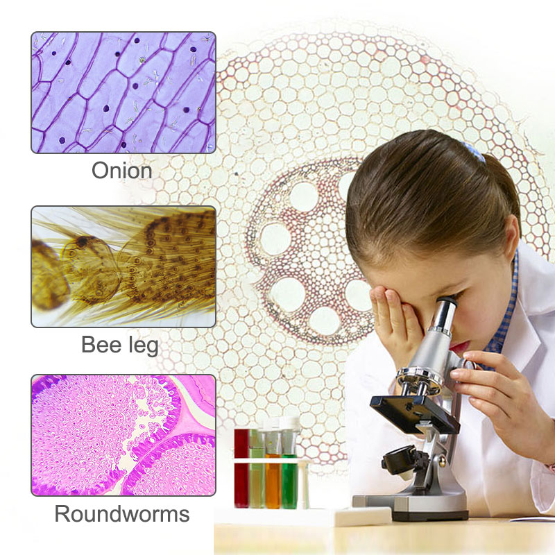 Кракен онион