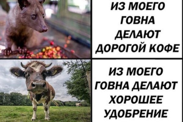 Кракен ссылка тор браузер